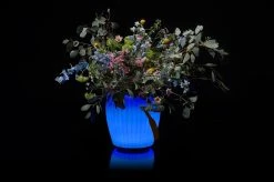 Aktion ???? Joouls THE JOOULY BOWL ???? -Stelton Shop 4004223021015 4004223021015 5